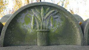 Vortragsabend: Entdeckungen auf Westerende